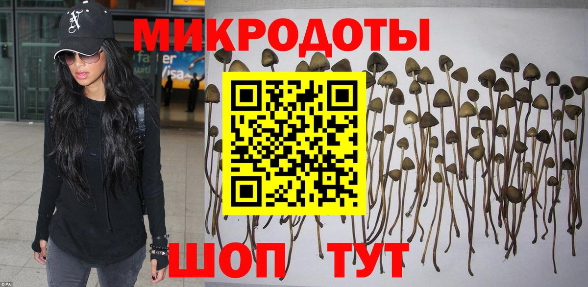 Галлюциногенные грибы ЛСД Ессентуки