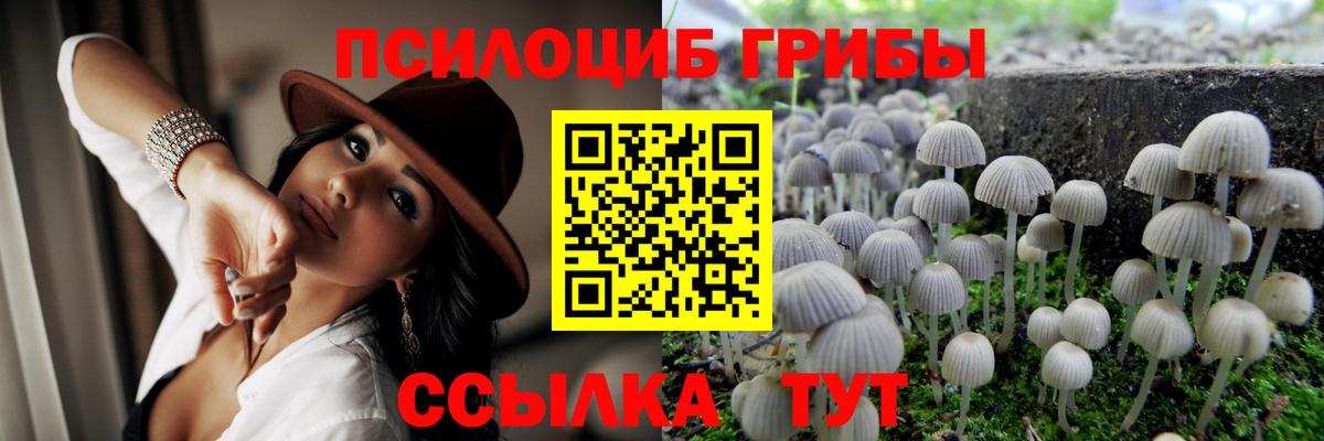 Псилоцибиновые грибы мухоморы  Псилоцибиновые грибы Psilocybe  Ессентуки  Вход с VPN 